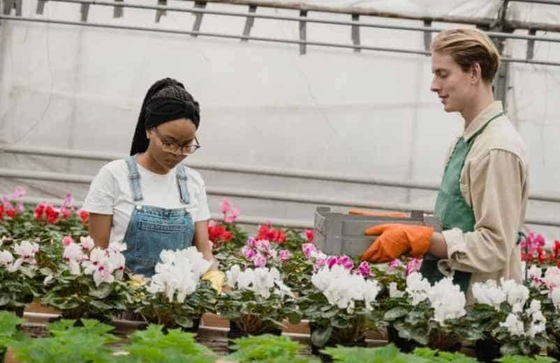 Comment enrichir la terre dès la plantation pour améliorer la floraison ? IM2E Habitat