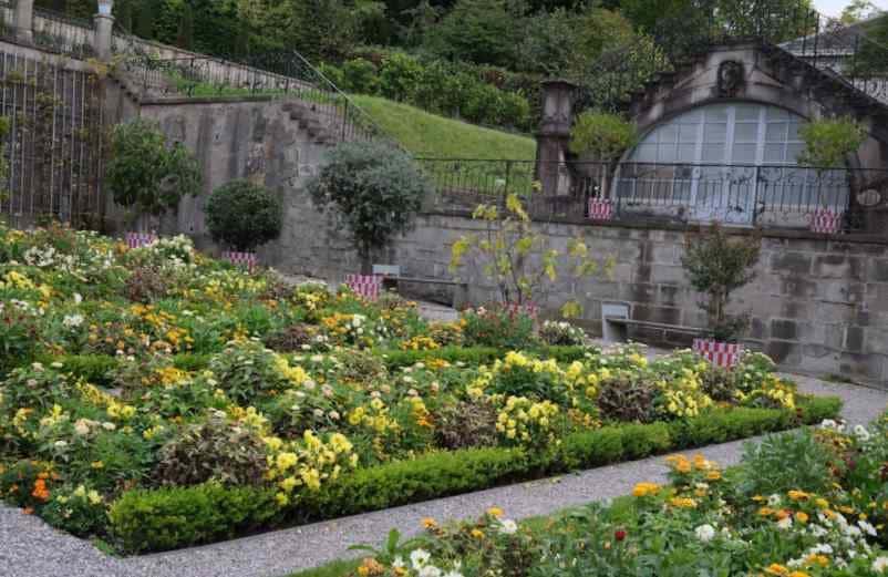 Comment éviter les mauvaises herbes dans le jardin durablement ? IM2E Habitat