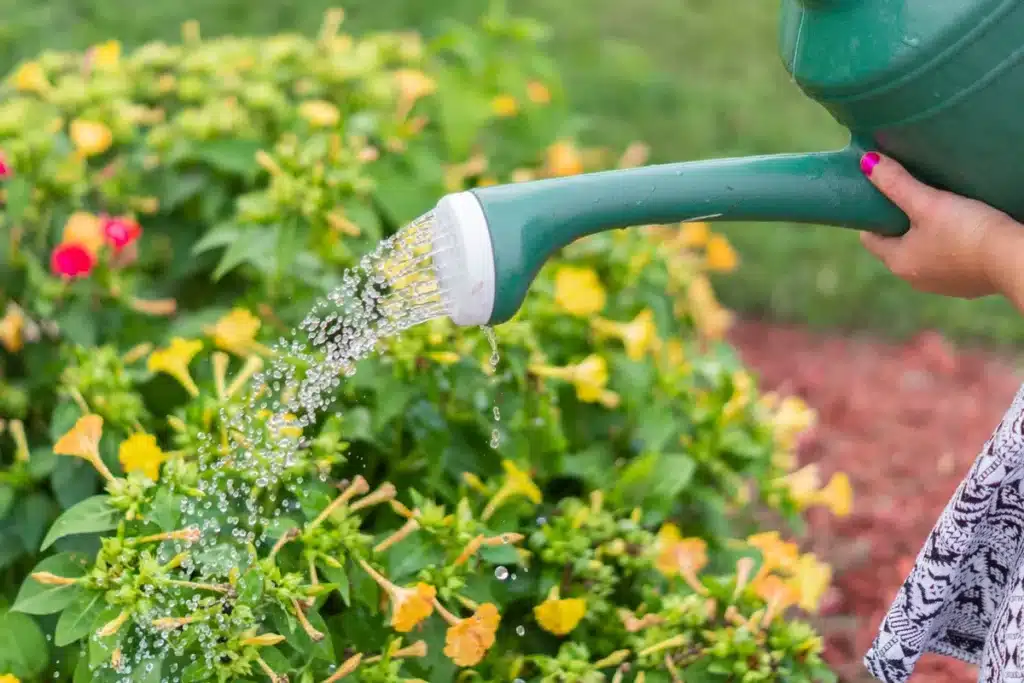 Mains inspectant des plantes en pots et des branches tombées dans un jardin après les vacances