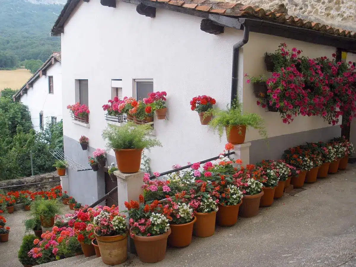 Personne arrosant des potées de fleurs sur une terrasse en plein jour