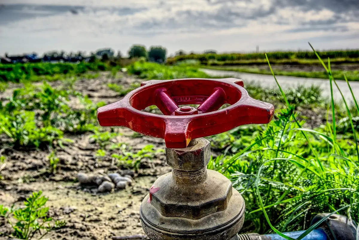 Locataire purgant le groupe de sécurité d'un chauffe-eau