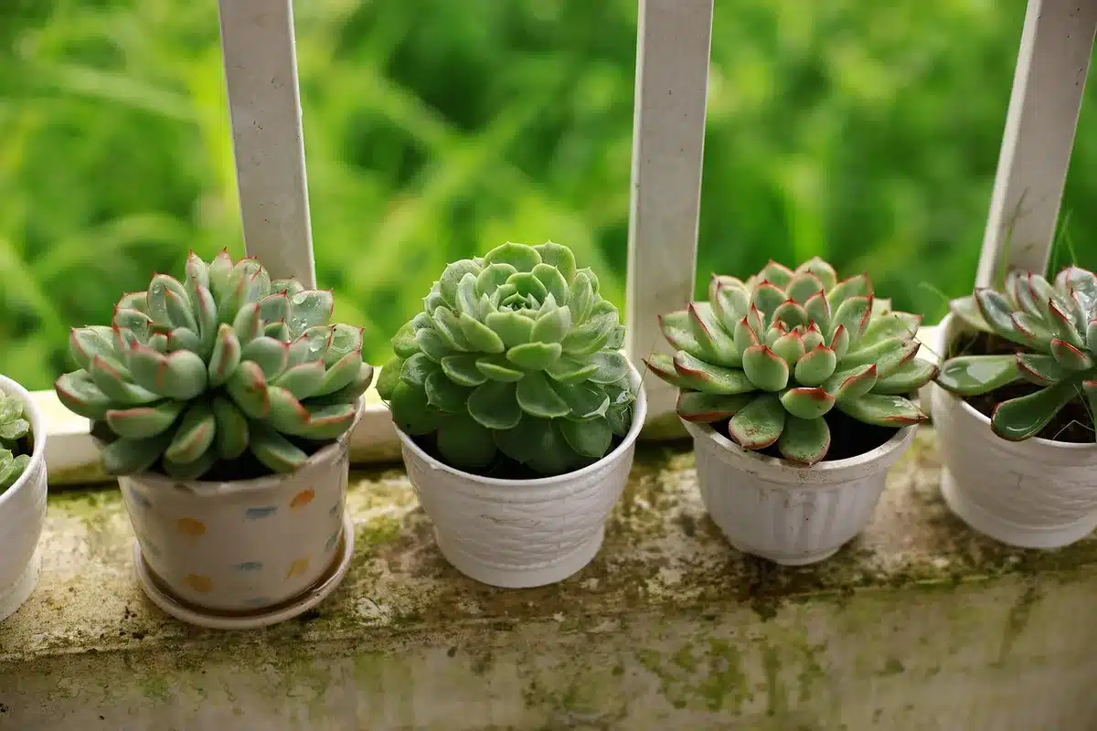 Unité extérieure de pompe à chaleur sur balcon, supports anti-vibratiles, journée ensoleillée