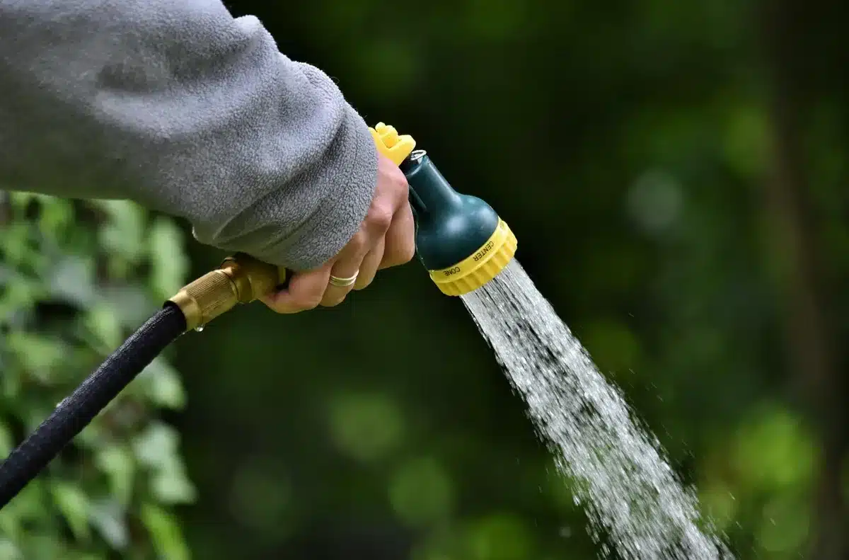 Système d'irrigation goutte-à-goutte arrosant des plants dans un potager