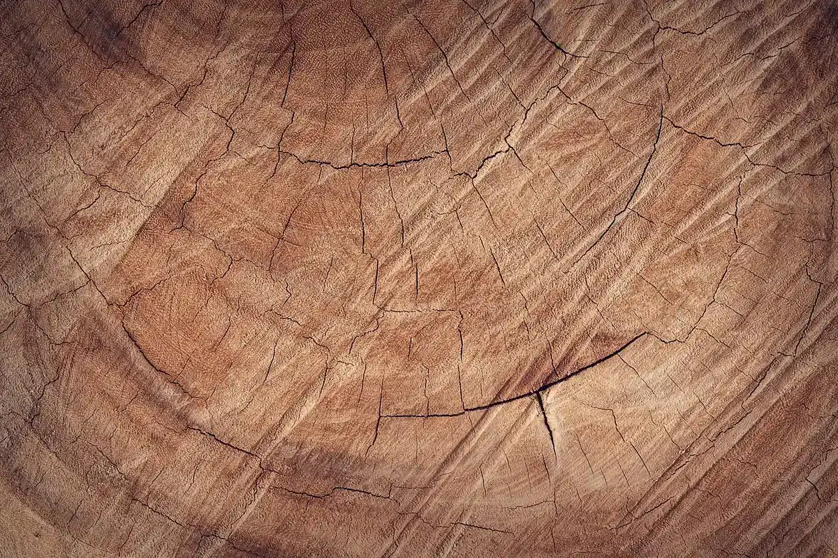 Comparaison d'une scie circulaire filaire et sans fil posées sur une table d'atelier