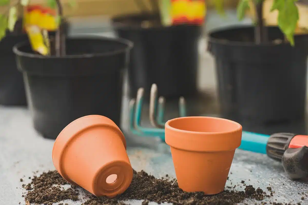 Mains incorporant du compost dans un sol meuble en plein jour