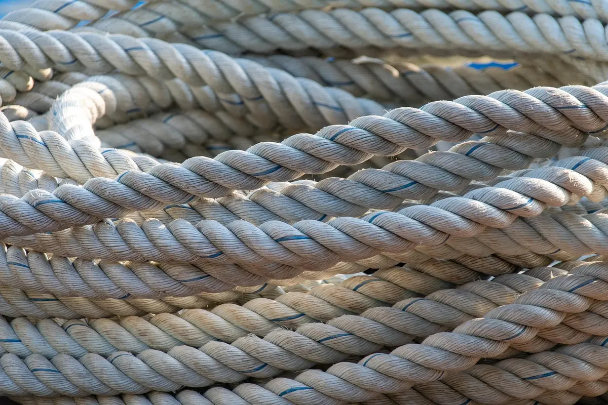 Échangeur froid et gouttes de condensation dans un déshumidificateur