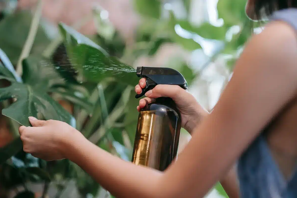 Nettoyage d'une feuille avec un coton-tige imbibé d'alcool