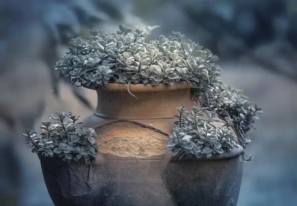 Granulés de laine au fond d'un pot de fleurs prêts pour le rempotage