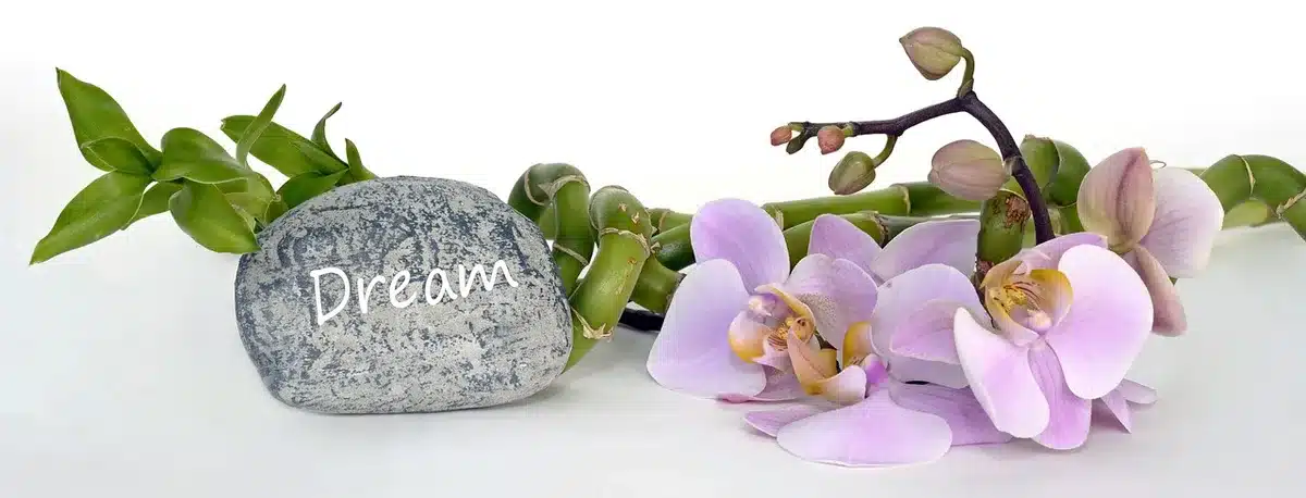 Soucières ou billes d'argile sous des pots d'orchidées pour augmenter l'humidité
