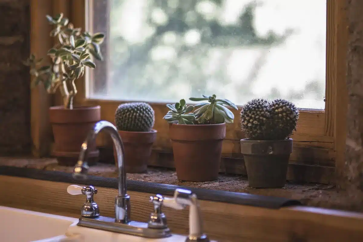 Seau et outils sous un lavabo avec siphon démonté prêt à être rincé