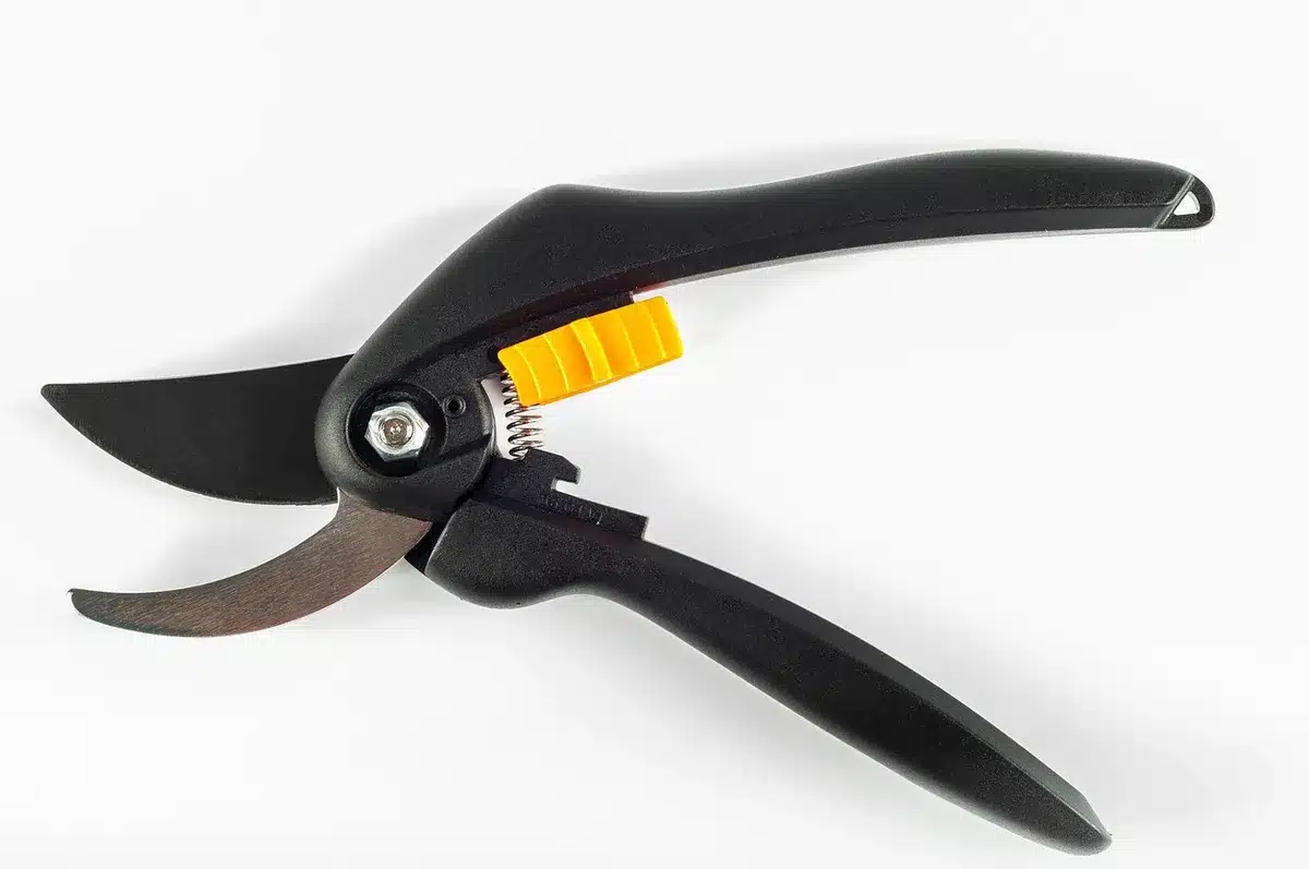 Outils de taille propres posés sur une table de jardinage