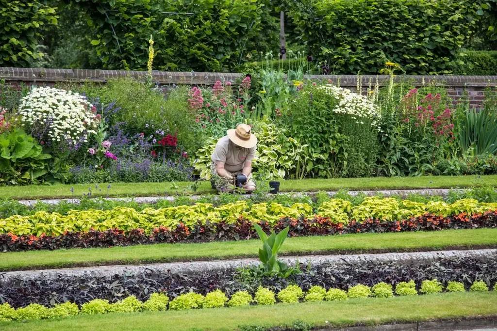 Personne anonyme coupant légèrement un arbuste au sécateur dans un jardin en plein jour